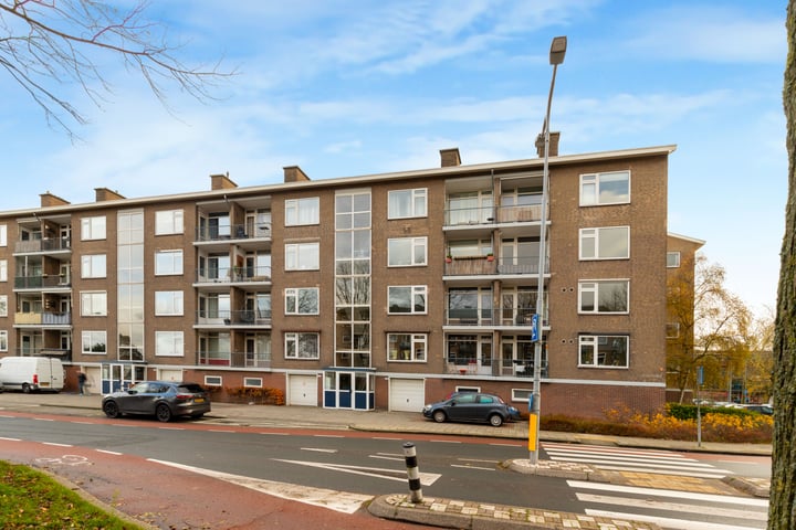 Carel van Manderstraat 50 in Heemskerk