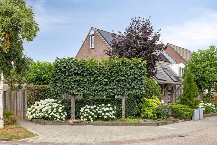 Carmelietenstraat-west 41 in Boxmeer