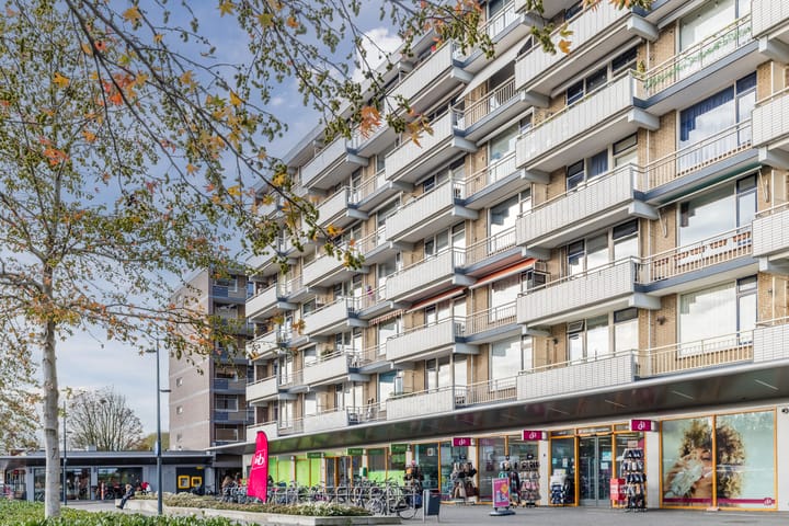 Chopinplein 105 in Culemborg