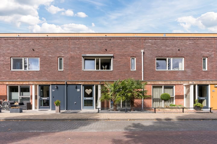 Citroenvlinder 34 in Hoogeveen