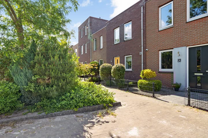 Citroenvlinder 51 in Hoogeveen