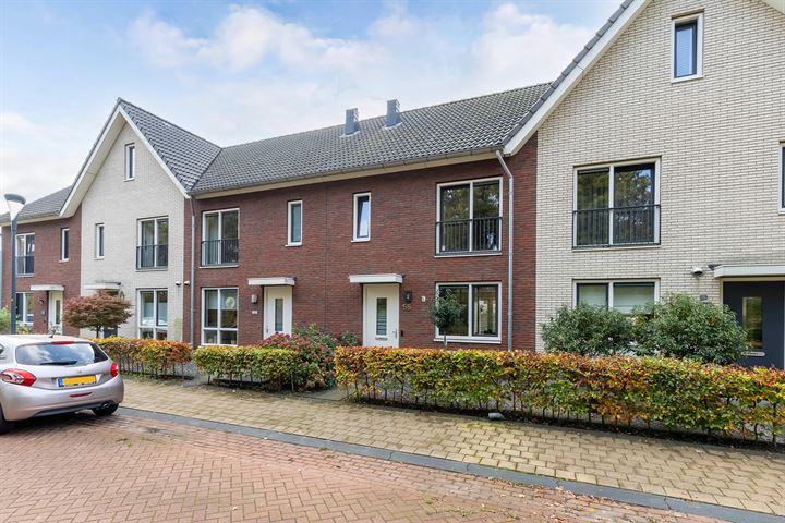 Compagnie 55 in Steenwijk