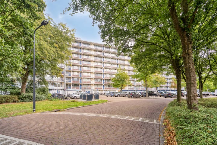 Condorhorst 113 in Leiden Foto