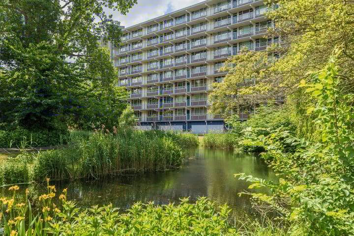 Condorhorst 19 in Leiden