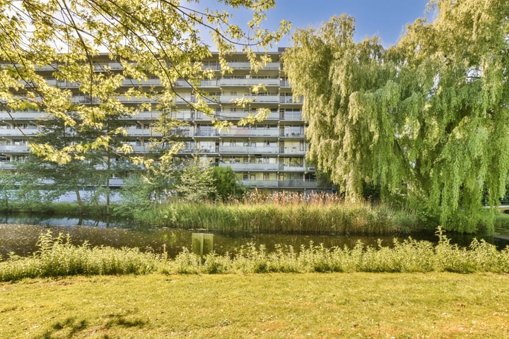 Condorhorst 38 in Leiden