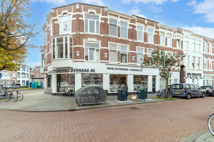 Copernicusstraat 220A in 's-Gravenhage