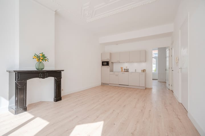 Copernicusstraat 53 in 's-Gravenhage