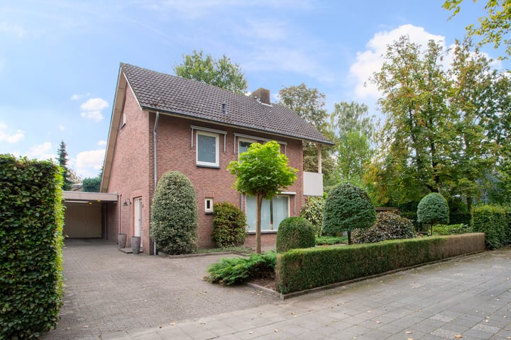 Corvus 48 in Hapert