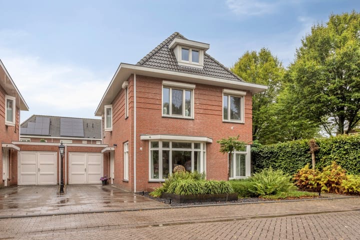 Cox 2 in Asten