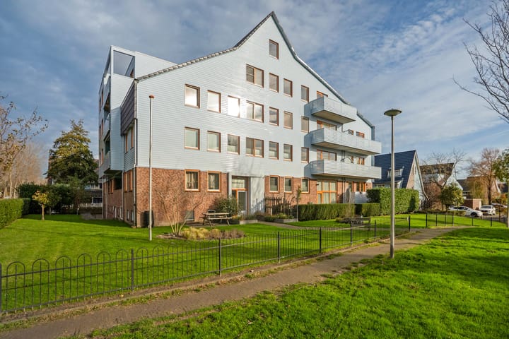 Cypergras 117 in 's-Gravenhage