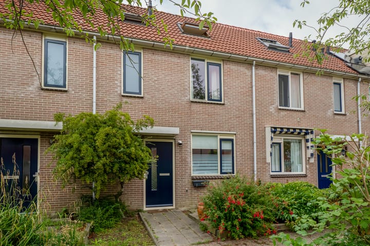 Cypres 3 in Hoorn Foto