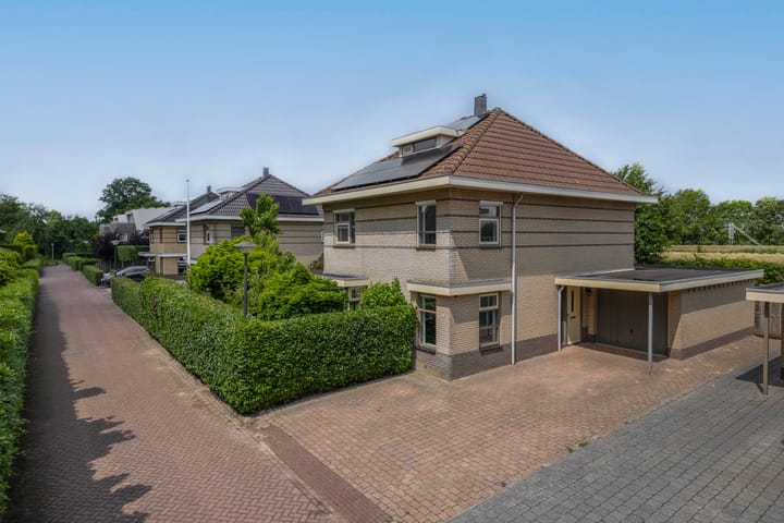 Dassenwissel 33 in Winschoten