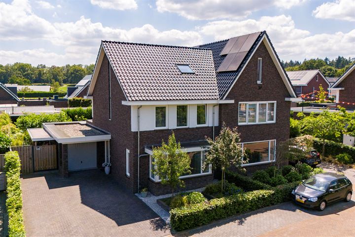 De Boerboom 13 in Loenen