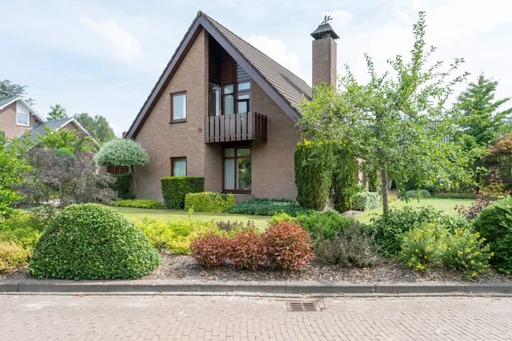 De Boerhoorn 1 in Emmen