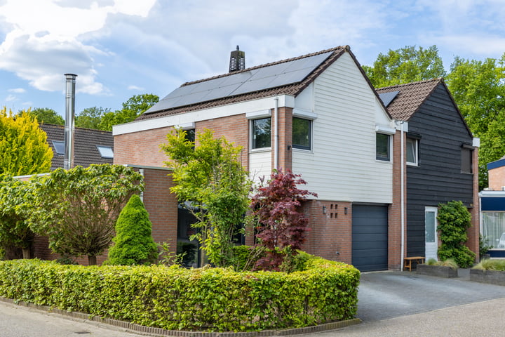 De Buizerd 85 in Almelo