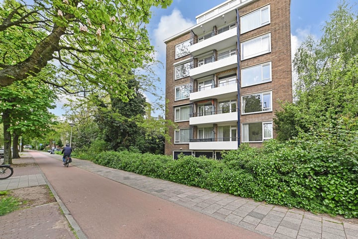 De Carpentierstraat 137 in 's-Gravenhage