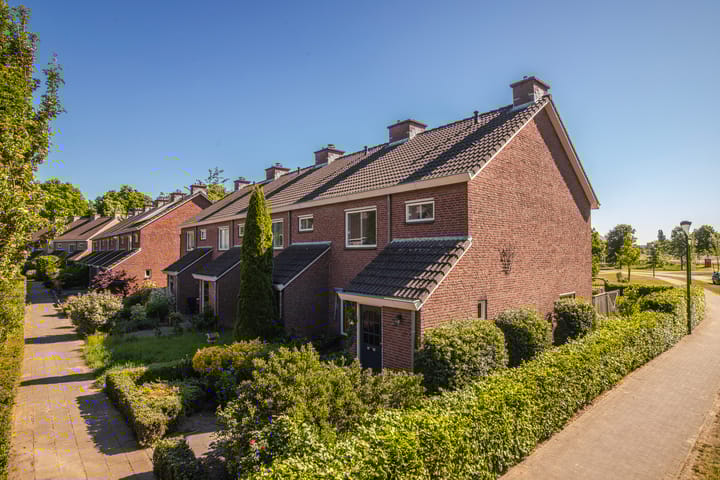 de Els 2 in Didam