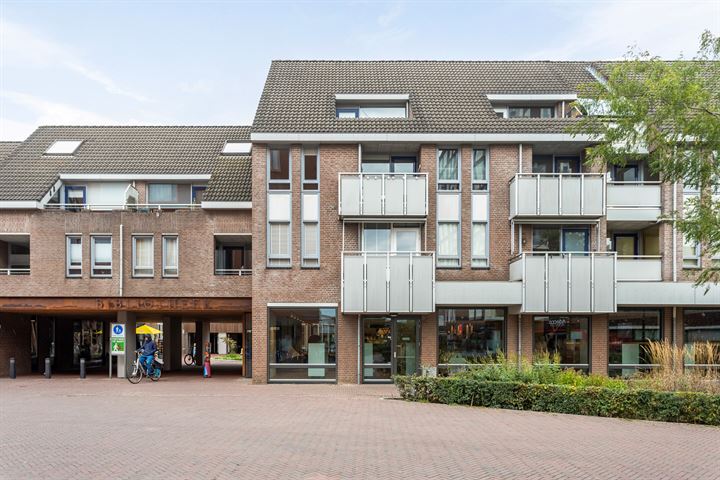 De Gouden Leeuw 69 in Venray