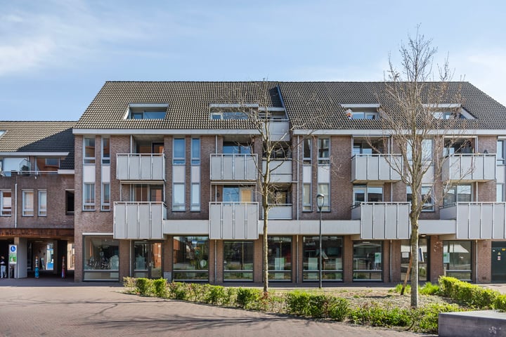 De Gouden Leeuw 89 in Venray
