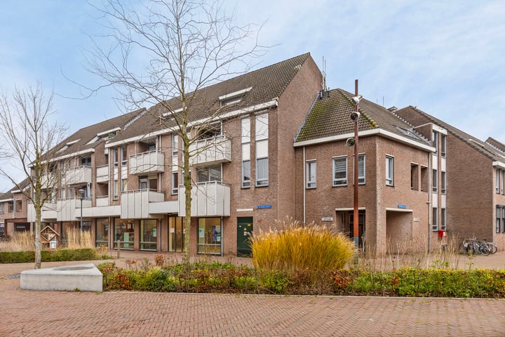 De Gouden Leeuw 93 in Venray