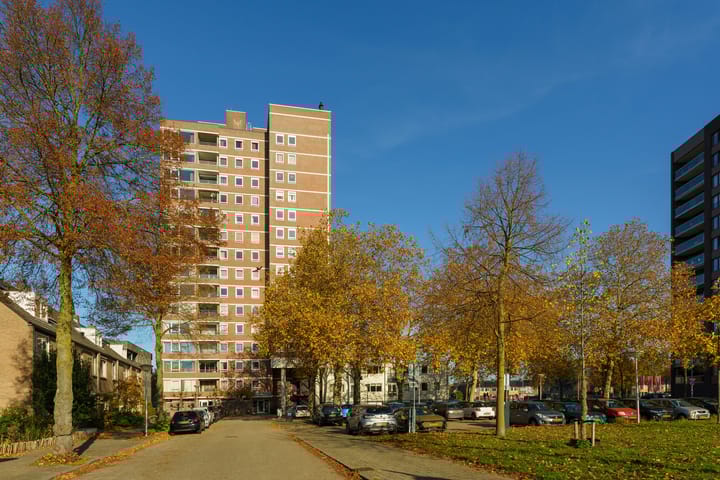 de Greide 61 in Eindhoven