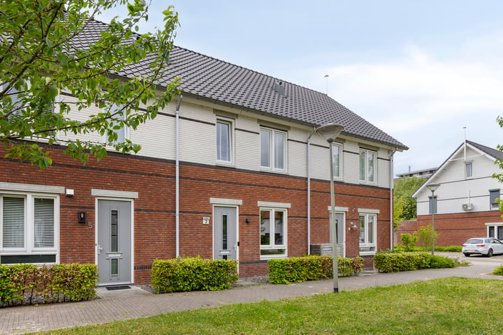 De kas 3 in Oss