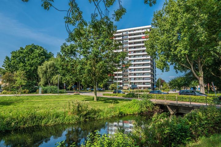 de la Reijstraat 442 in Ridderkerk