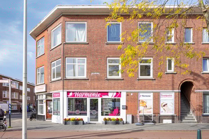 De la Reyweg 489 in 's-Gravenhage
