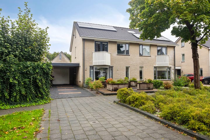 De Muddegezaai 50 in Dronten