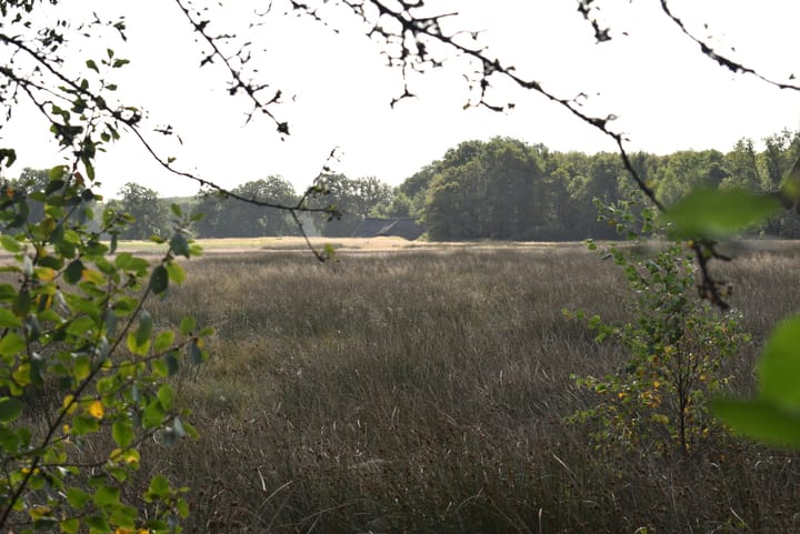 De Oostermaat 38 in Westerbork