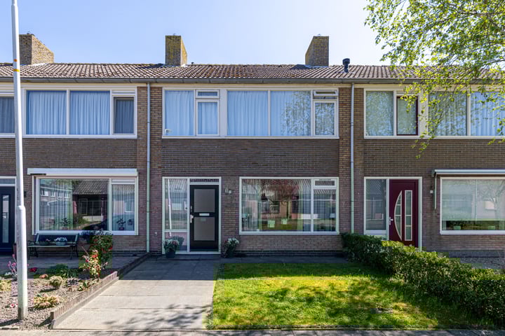De Pelfinne 8 in Mitselwier