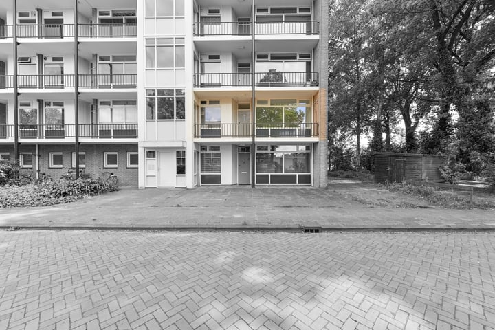 De Reiger 175 in Hoogeveen foto