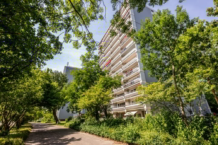 De Roerdomp 150 in Purmerend