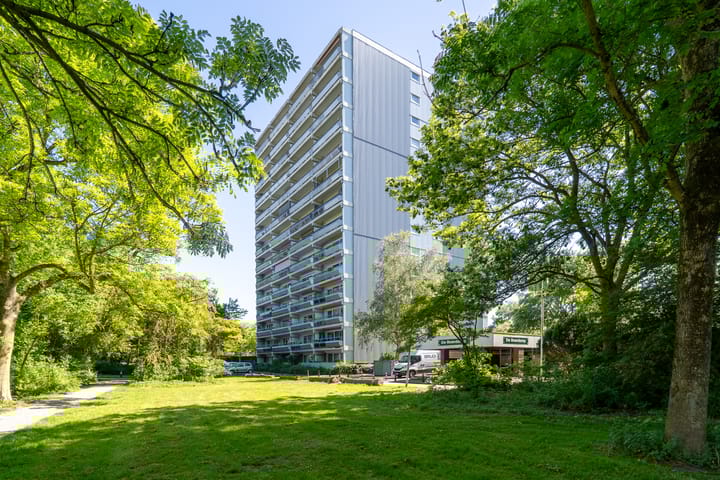 De Roerdomp 188 in Purmerend