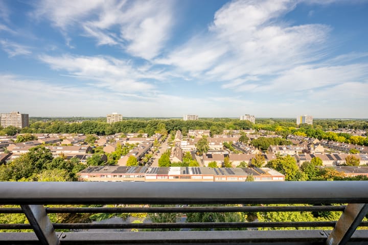 De Roerdomp 87 in Purmerend