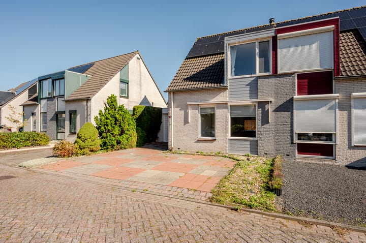 De Sallandse Roe 40 in Dronten