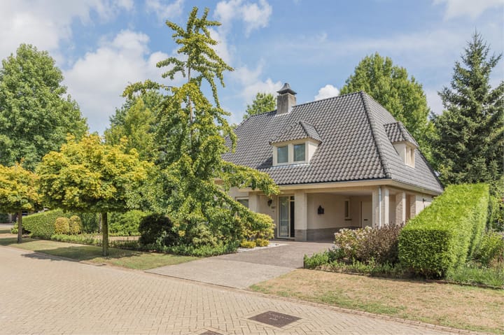 De Scheifelaar 227 in Veghel foto