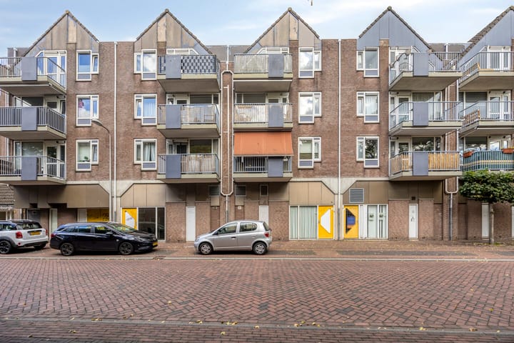 de Swaenenborgh 66 in Meppel