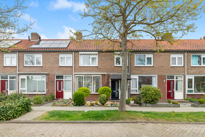 De Terp 5 in Uitgeest
