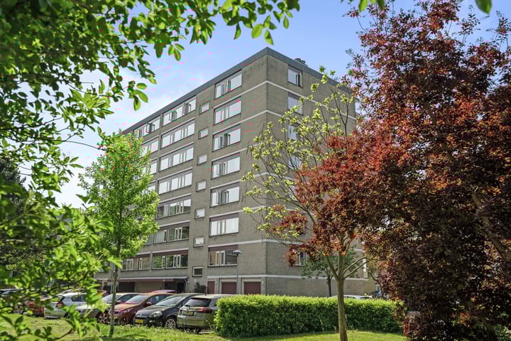 De Vooysplantsoen 41 in Utrecht