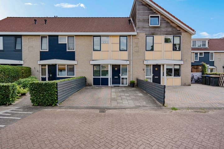 De wiezeboom 22 in Steenwijk