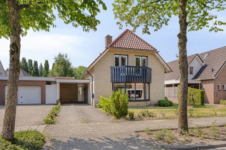de Wulp 1 in Denekamp
