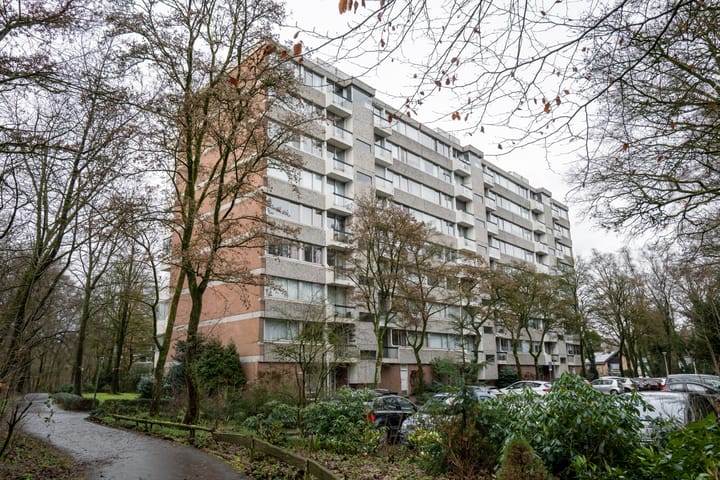 De Zalmen 118 in Doorwerth foto