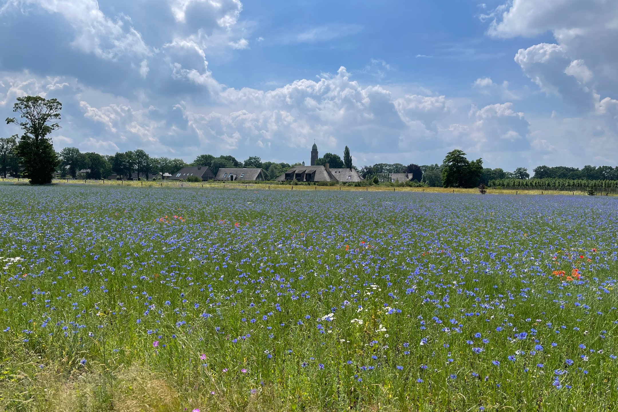 Kantoor foto van De Zeeuw Makelaars