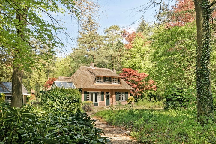 Photo of property Dellenparkweg 11, Epe