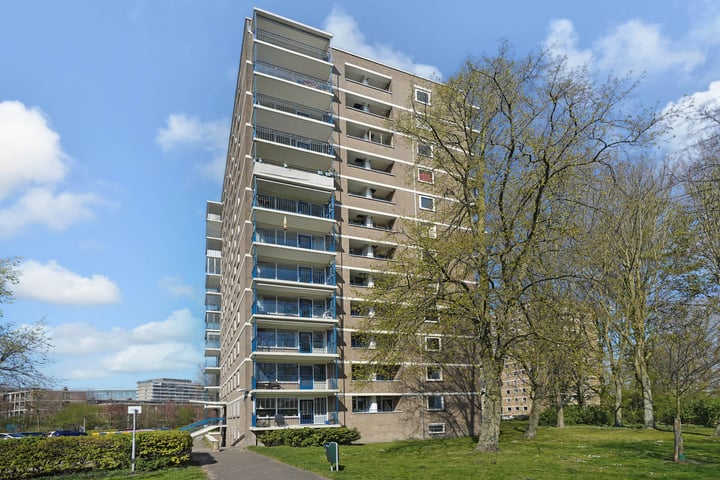 Denenburg 149 in 's-Gravenhage