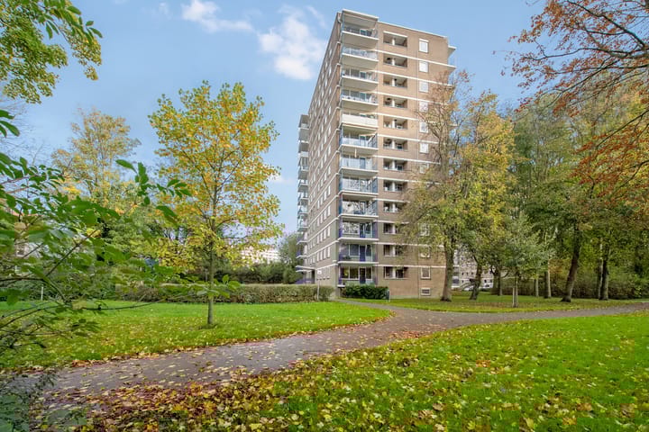 Denenburg 75 in 's-Gravenhage Foto