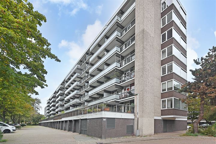 Denijsstraat 133 in 's-Gravenhage