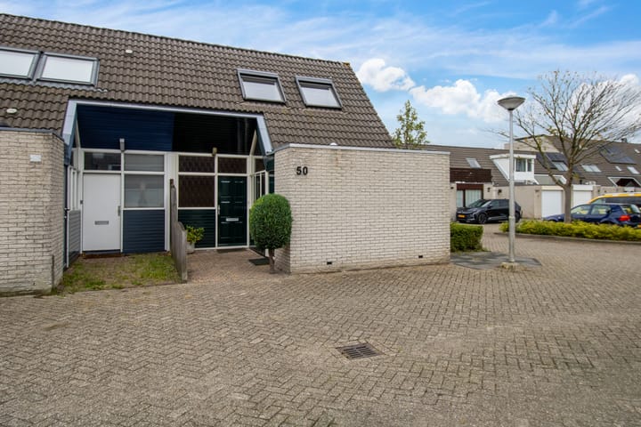 Diamant 50 dans Berkel en Rodenrijs photo