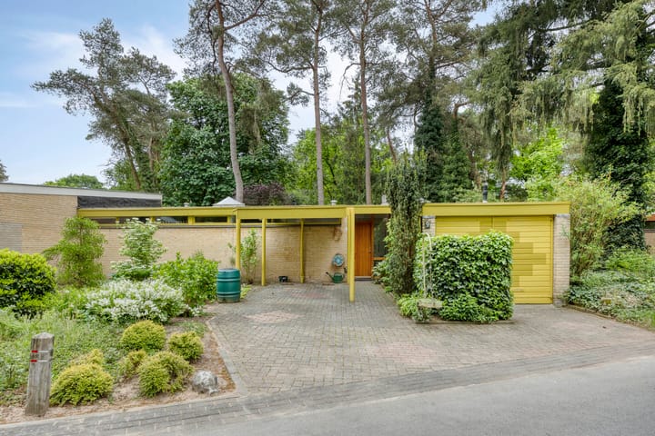 Dianabos 9 in Boxtel